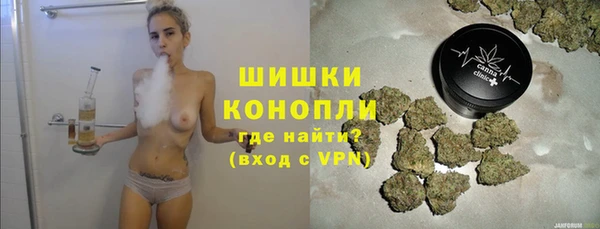 PSILOCYBIN Осинники