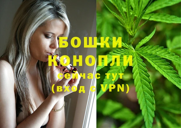 spice Балабаново