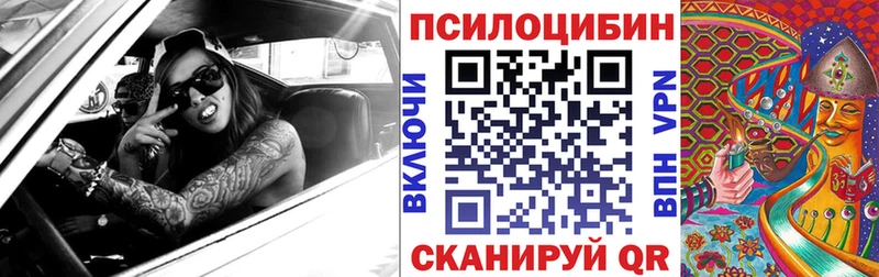 Псилоцибиновые грибы Psilocybe  закладки  Ессентуки 